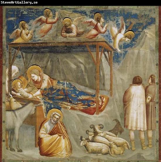 GIOTTO di Bondone Birth of Jesus